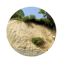 專業生態修復服務商